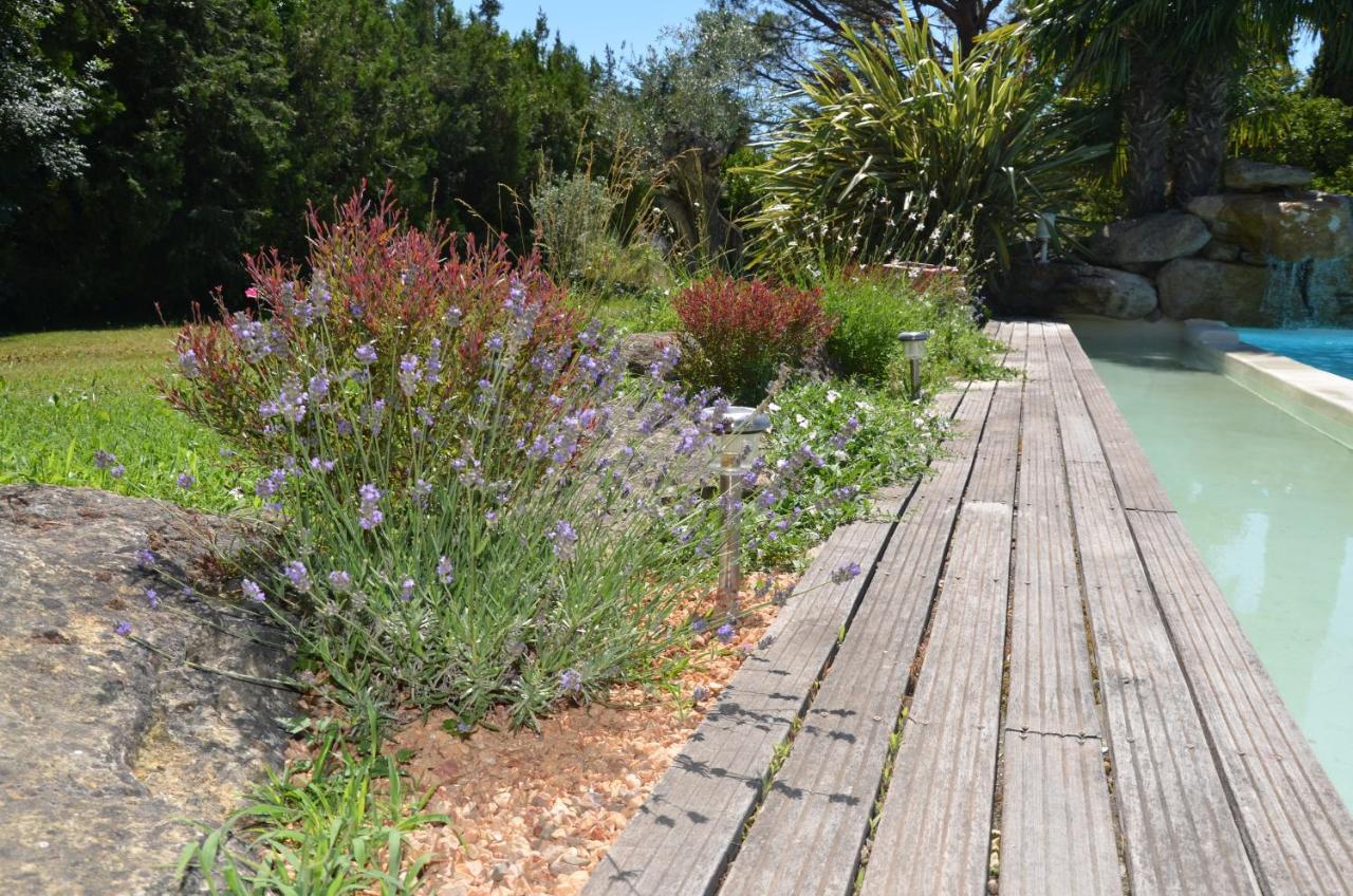 Mas De La Butte Blanche Bed and Breakfast Orgon Exteriör bild